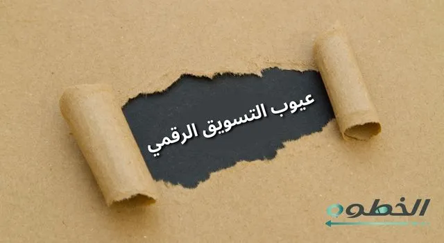 عيوب التسويق الرقمي